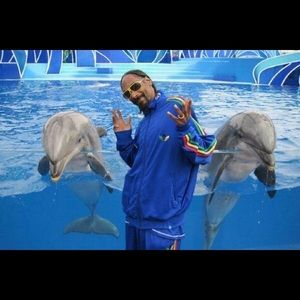 Meet your Posher, Jackson